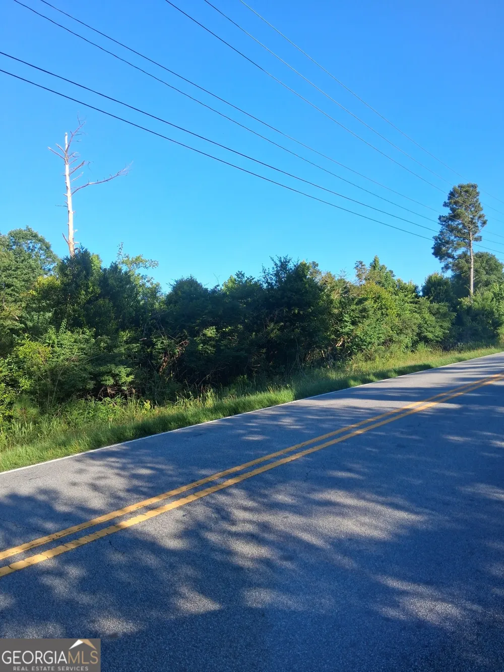 222 N Pine Hill RD Griffin, GA 30223