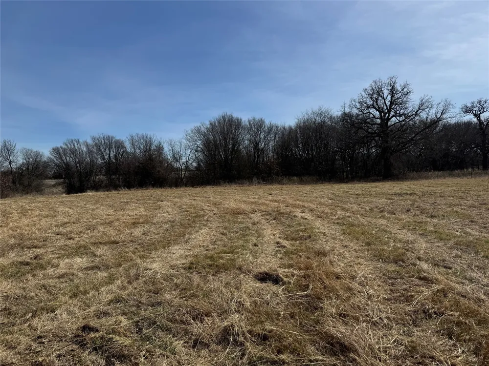 County Road 1346 Chico, TX 76431