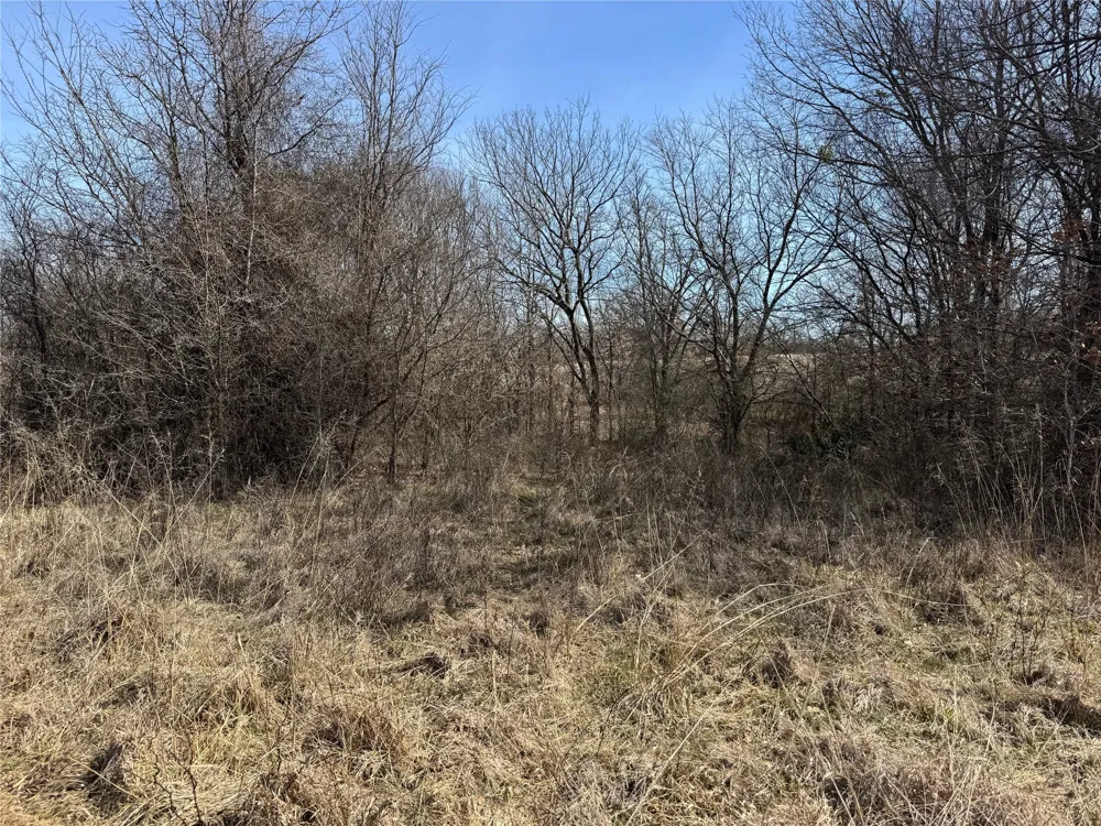 County Road 1346 Chico, TX 76431