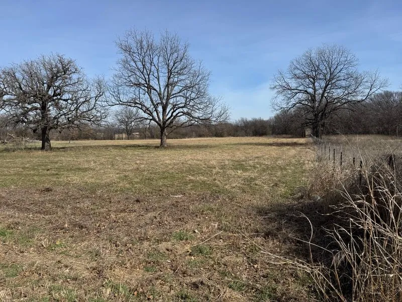 County Road 1346 Chico, TX 76431