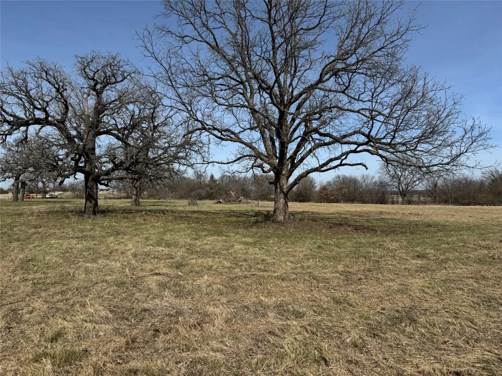 County Road 1346 Chico, TX 76431