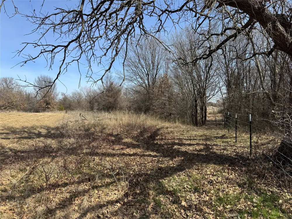 County Road 1346 Chico, TX 76431