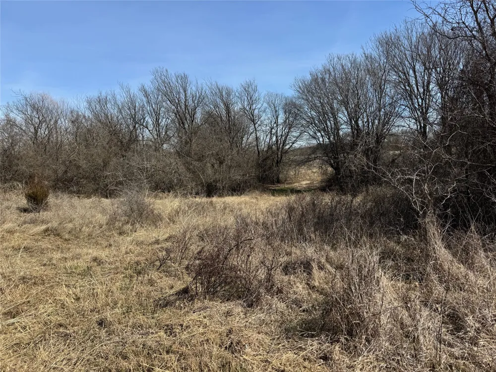 County Road 1346 Chico, TX 76431