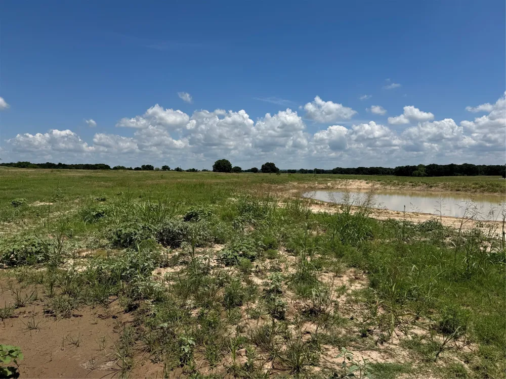 County Road 1346 Chico, TX 76431