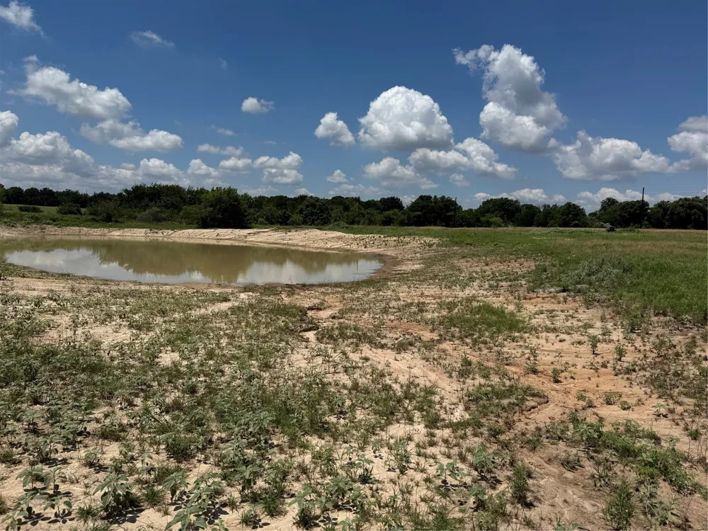 County Road 1346 Chico, TX 76431