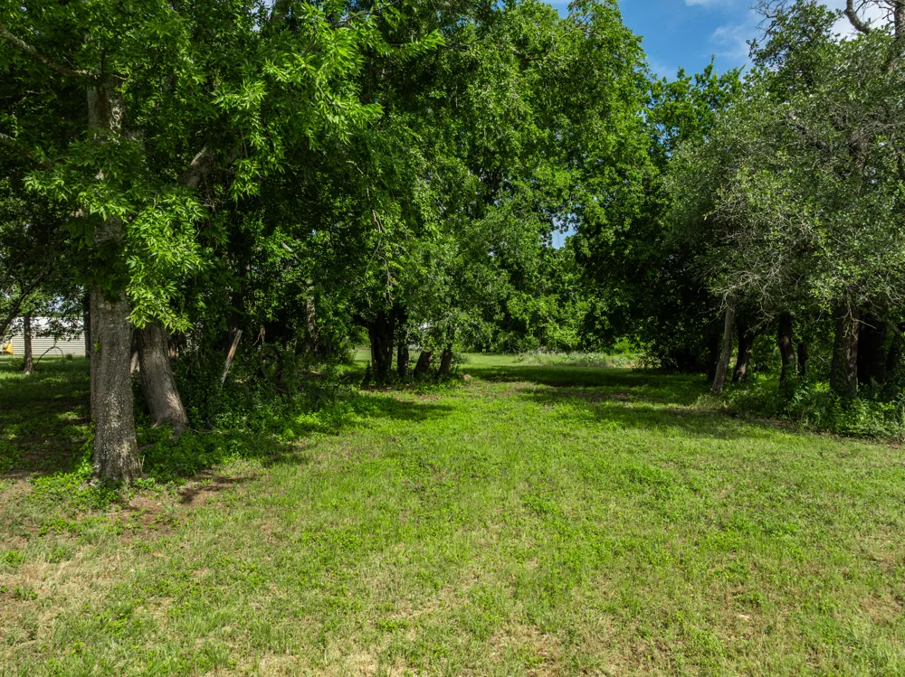 199 Apache Springs Road Briggs, TX 78608