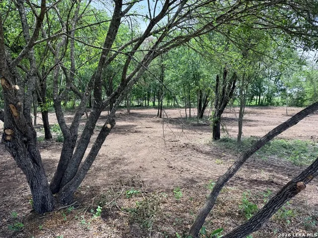 1 ACRE FM 471 Natalia, TX 78059