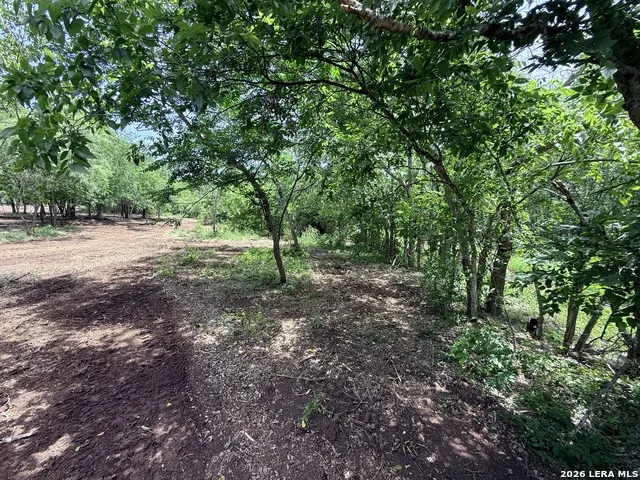 1 ACRE FM 471 Natalia, TX 78059