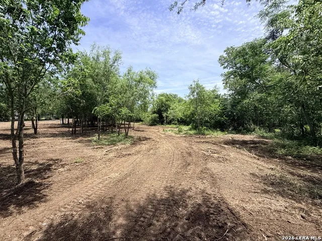 1 ACRE FM 471 Natalia, TX 78059