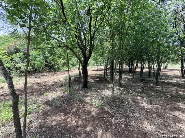 1 ACRE FM 471 Natalia, TX 78059
