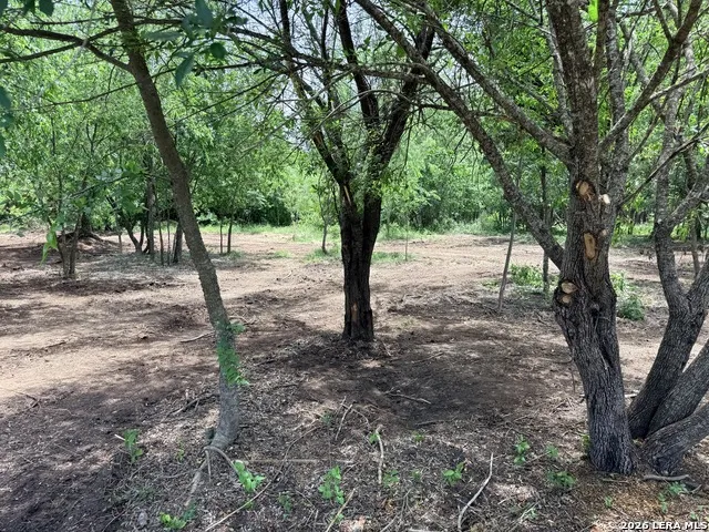 1 ACRE FM 471 Natalia, TX 78059