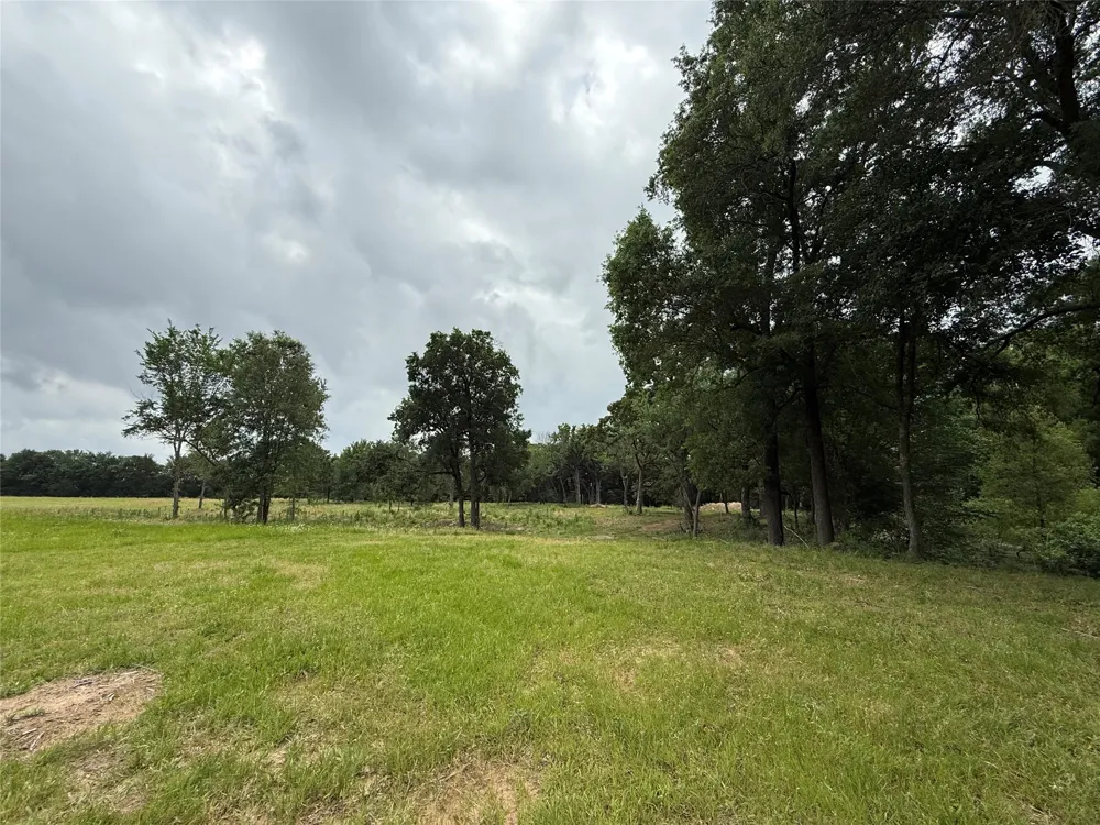 210 Livingston Street Edgewood, TX 75117