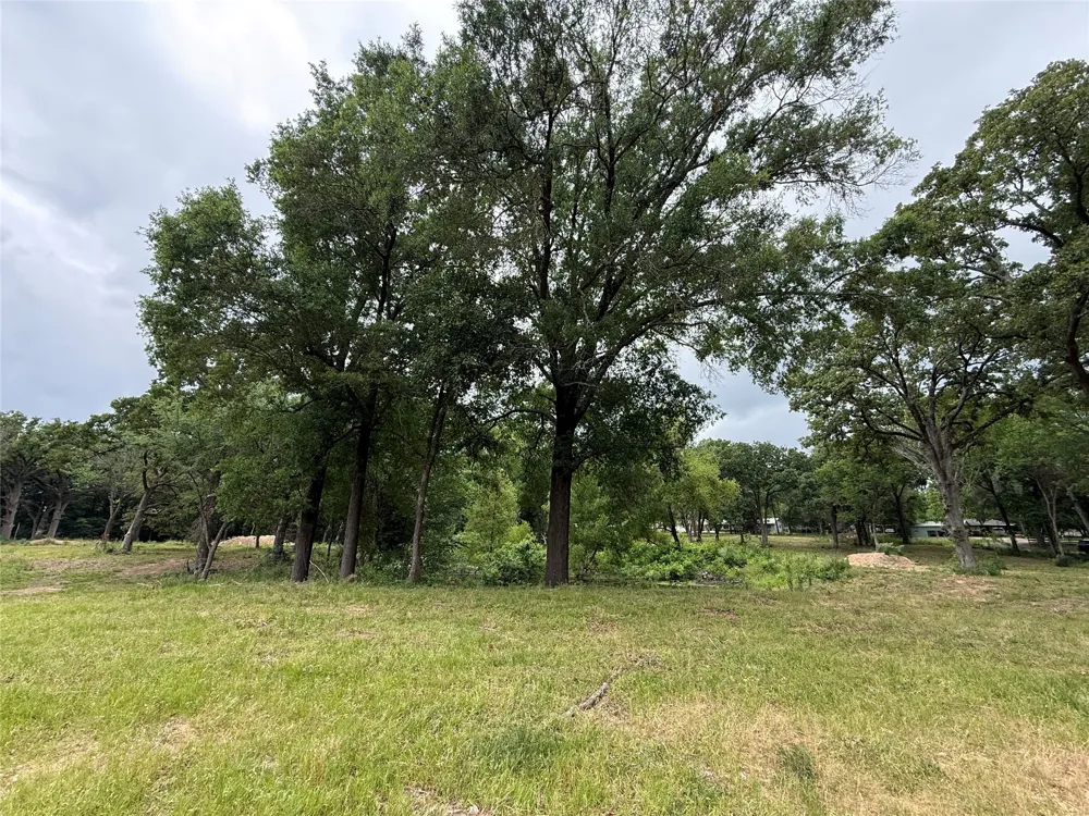 210 Livingston Street Edgewood, TX 75117