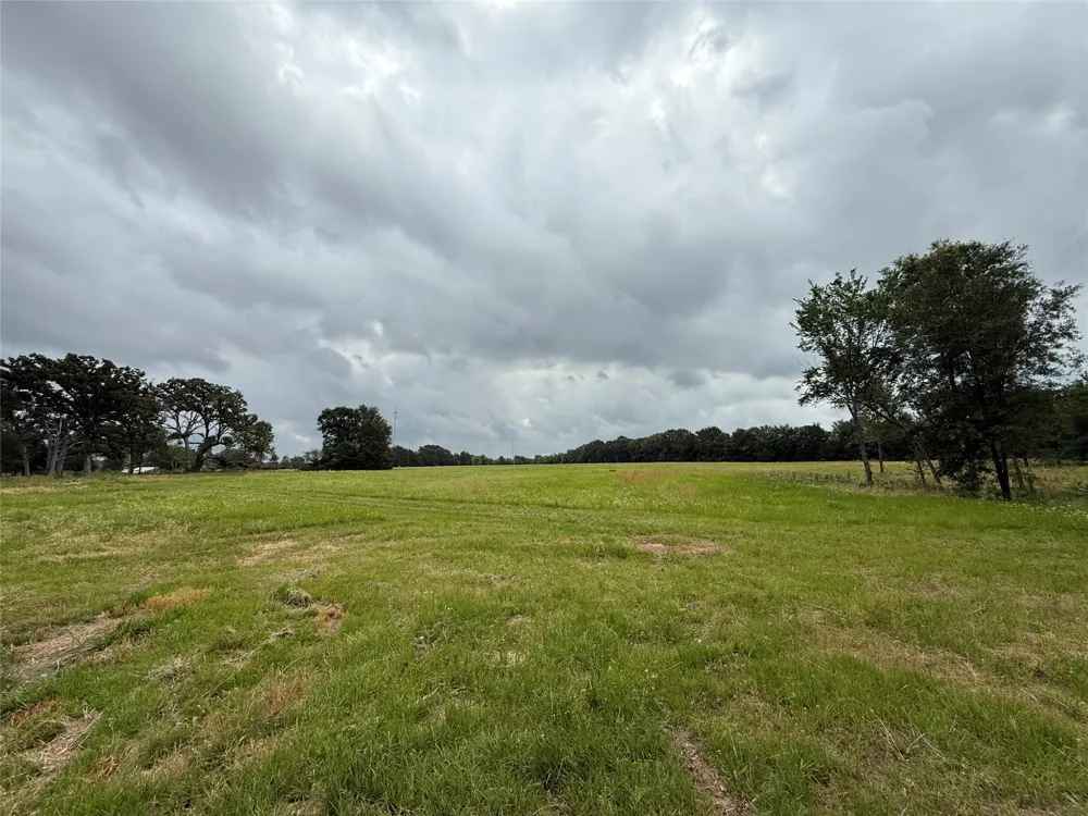 210 Livingston Street Edgewood, TX 75117