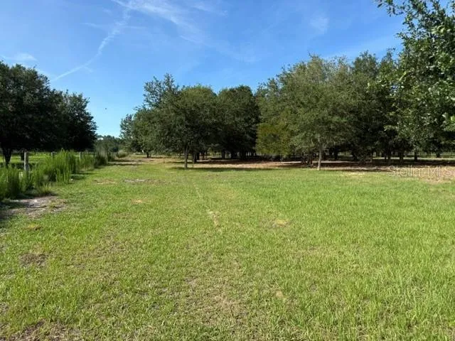 7214 OIL WELL ROAD Clermont, FL 34714