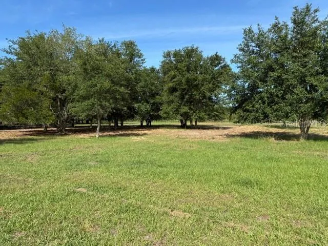 7214 OIL WELL ROAD Clermont, FL 34714