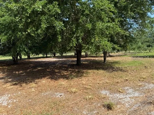7214 OIL WELL ROAD Clermont, FL 34714