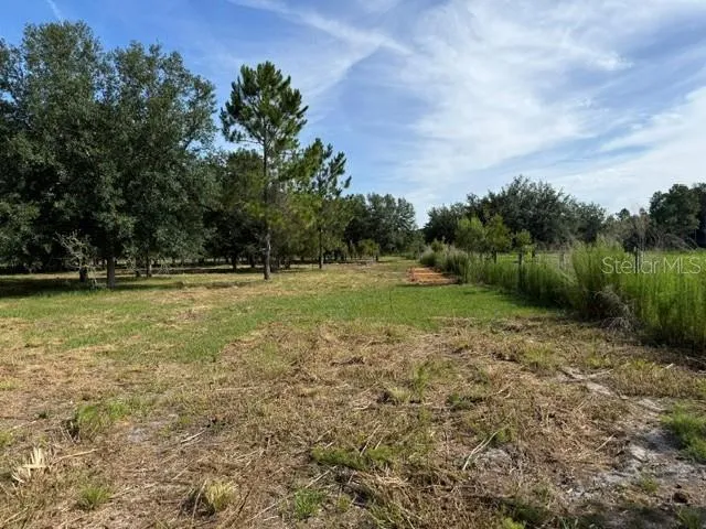 7214 OIL WELL ROAD Clermont, FL 34714