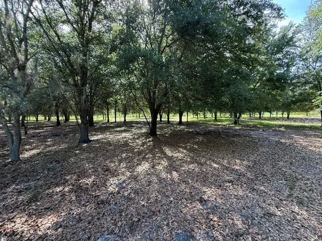 7214 OIL WELL ROAD Clermont, FL 34714