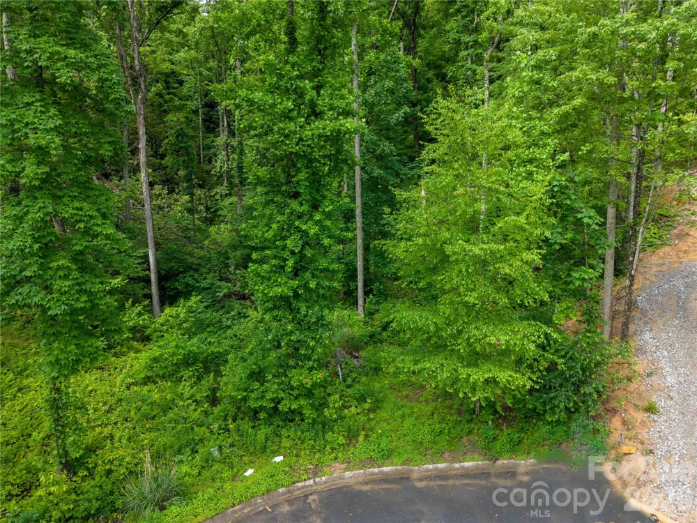 334 Carriage Crest Drive Hendersonville, NC 28791