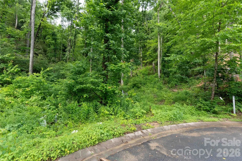 334 Carriage Crest Drive Hendersonville, NC 28791