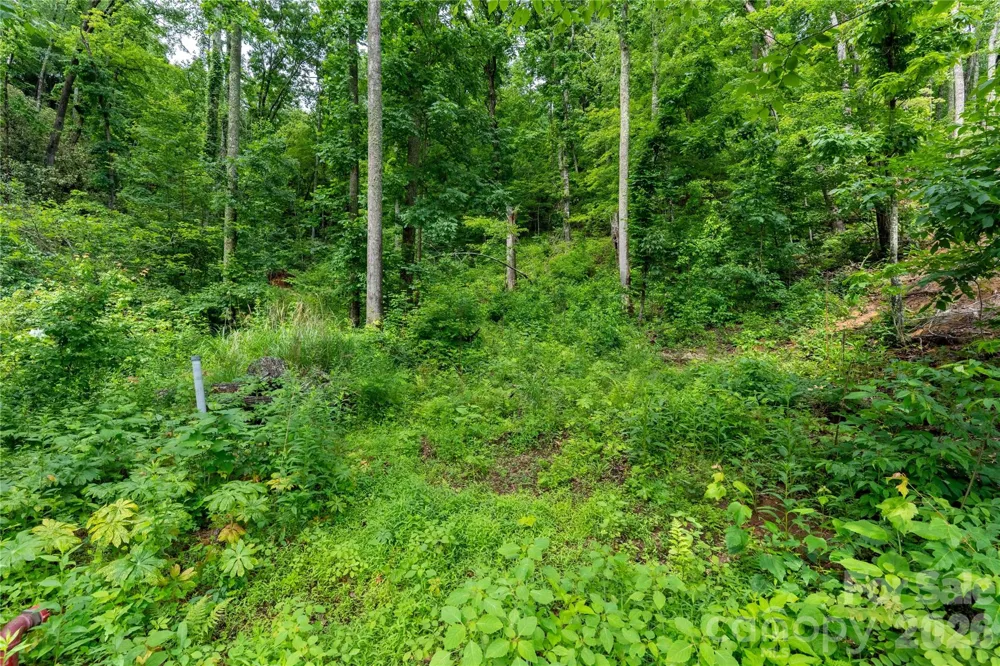 334 Carriage Crest Drive Hendersonville, NC 28791
