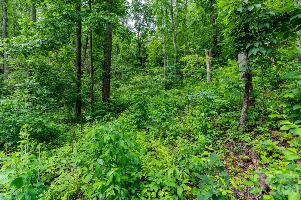 334 Carriage Crest Drive Hendersonville, NC 28791