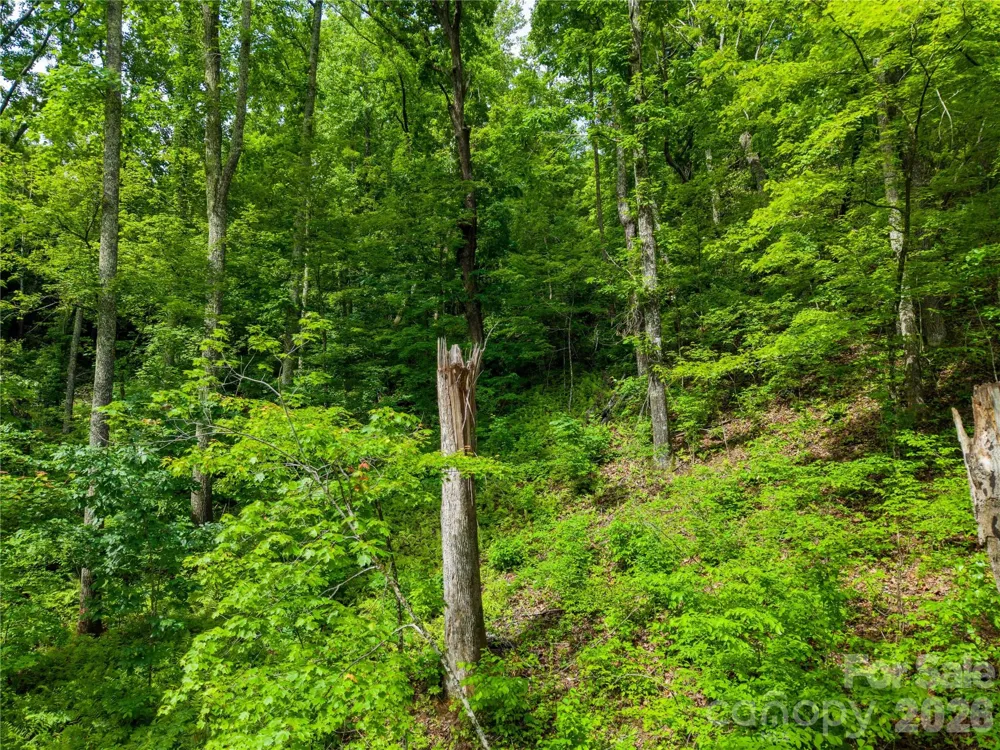 334 Carriage Crest Drive Hendersonville, NC 28791
