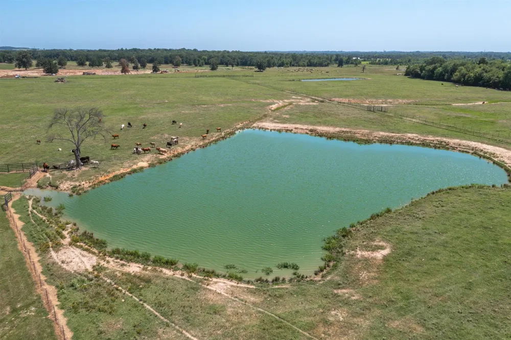 Vz County Road 2511 Canton, TX 75103