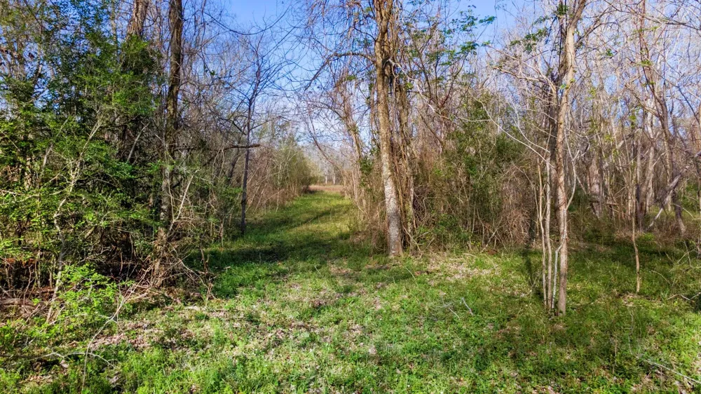 3979 Felder Road Washington, TX 77880