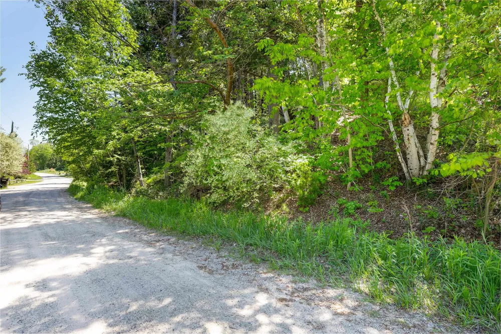 5493 Indian Trail Blaine Township, MI 49635