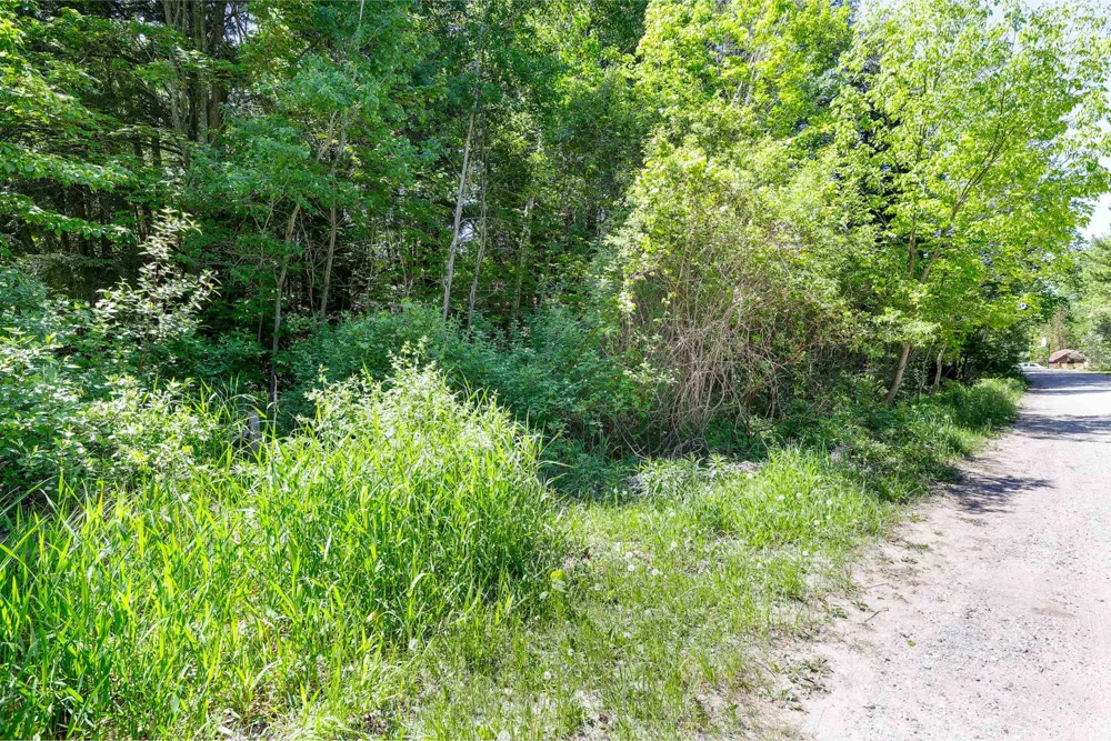 5493 Indian Trail Blaine Township, MI 49635