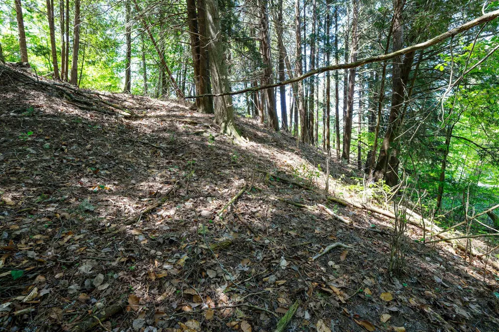 5493 Indian Trail Blaine Township, MI 49635