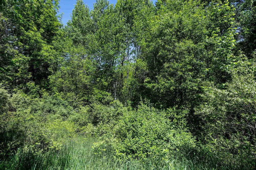 5493 Indian Trail Blaine Township, MI 49635