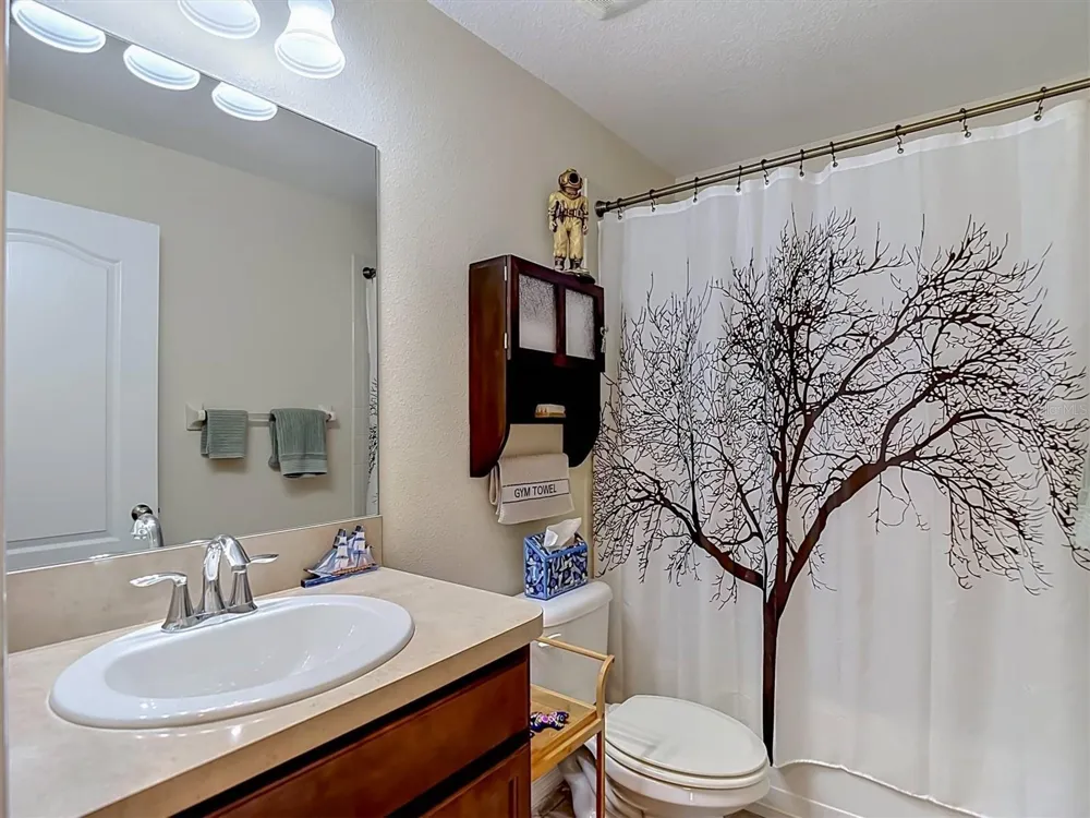 9838 TRUMPET VINE LOOP Trinity, FL 34655