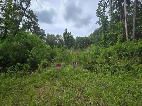 316 SEQUOIA DRIVE