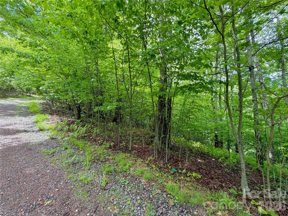 TBD Grandfather Watch Lane Banner Elk, NC 28607