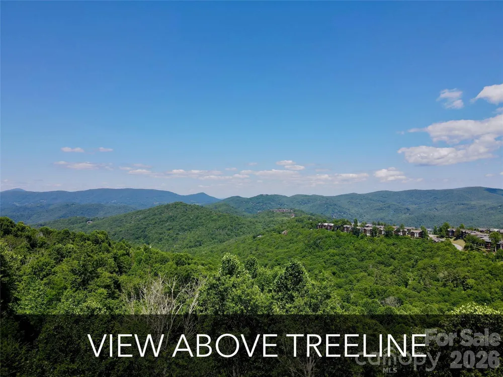 TBD Grandfather Watch Lane Banner Elk, NC 28607