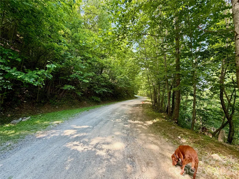 TBD Grandfather Watch Lane Banner Elk, NC 28607