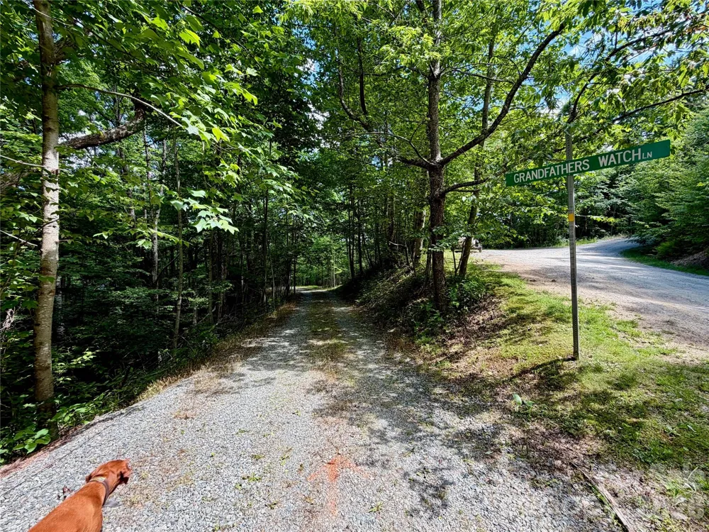 TBD Grandfather Watch Lane Banner Elk, NC 28607