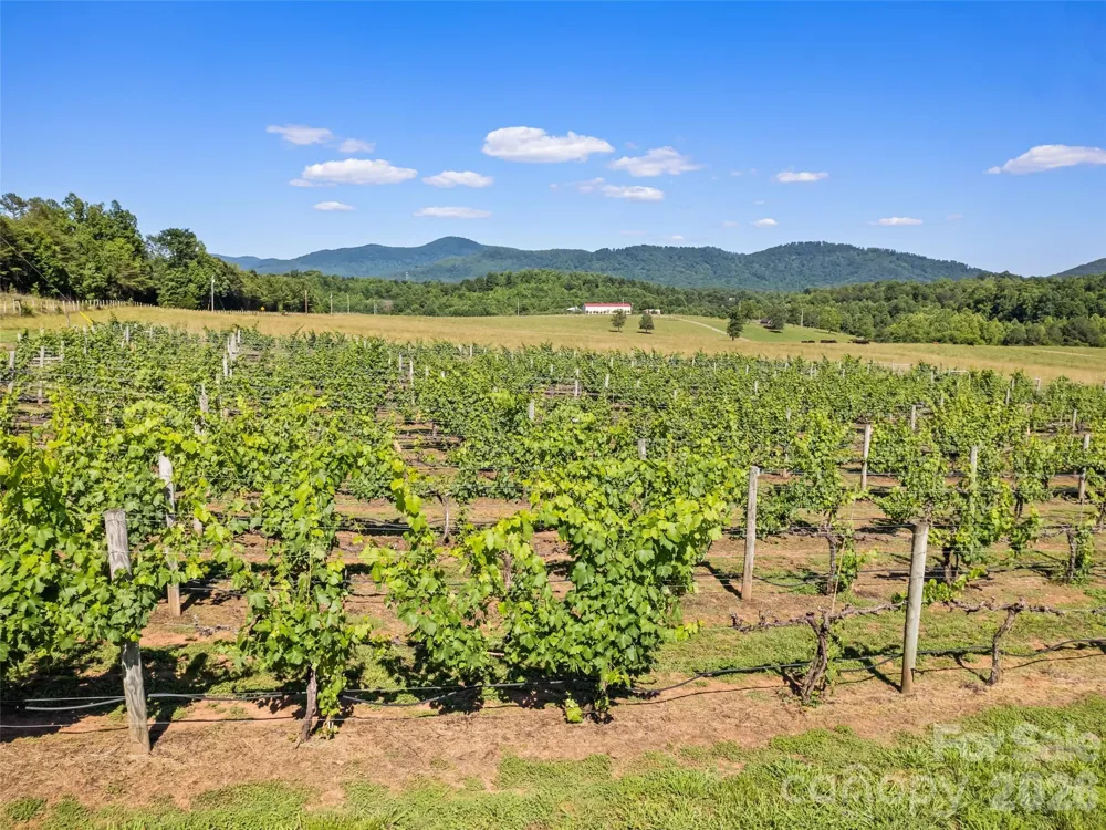 1418 Landis Lane Nebo, NC 28761
