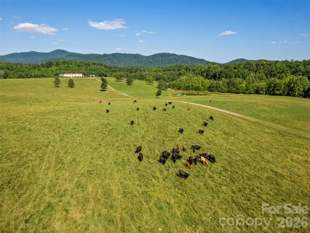 1418 Landis Lane Nebo, NC 28761