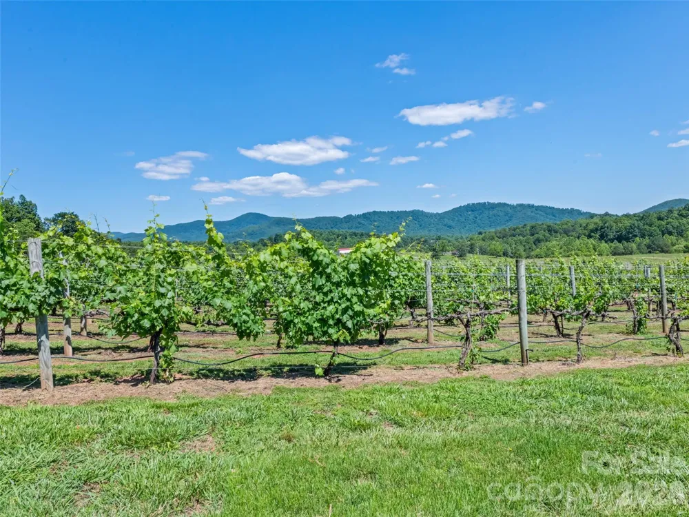 1418 Landis Lane Nebo, NC 28761