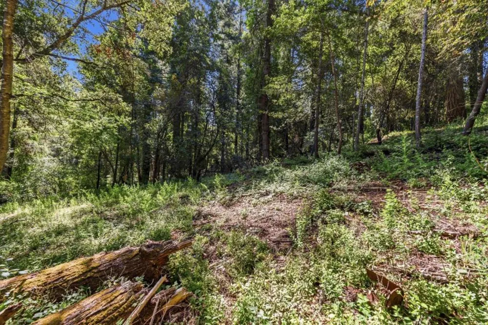Garfield Way Felton, CA 95018