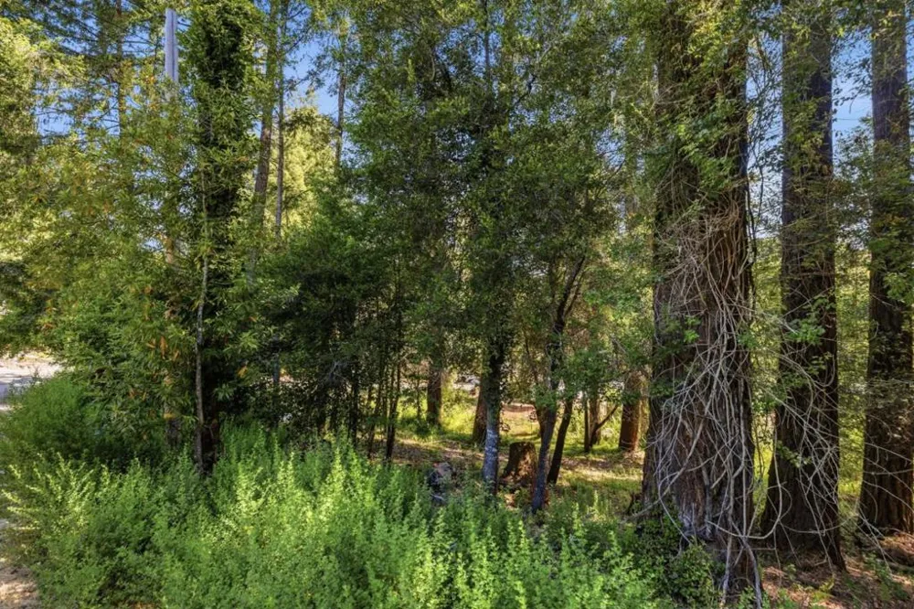 Garfield Way Felton, CA 95018