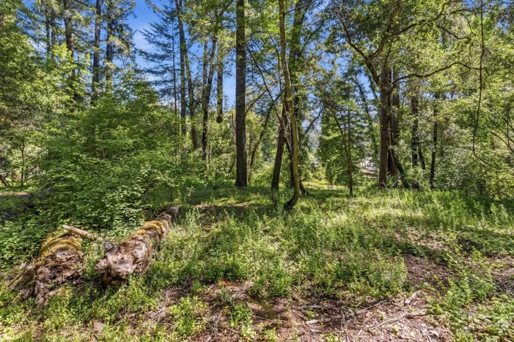 Garfield Way Felton, CA 95018