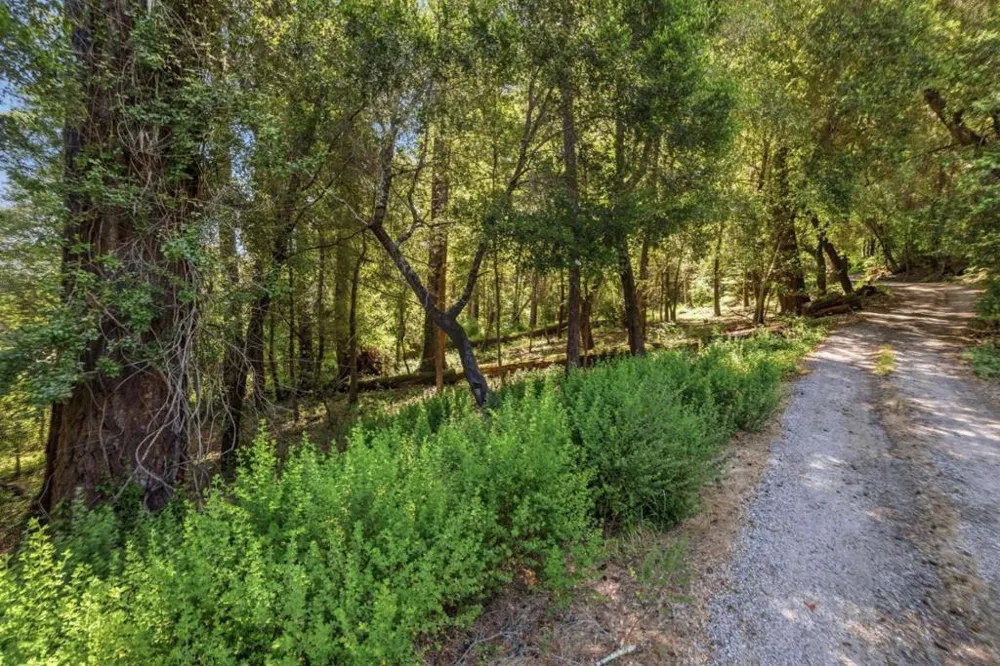 Garfield Way Felton, CA 95018