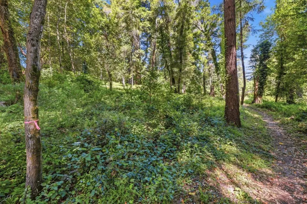 Garfield Way Felton, CA 95018