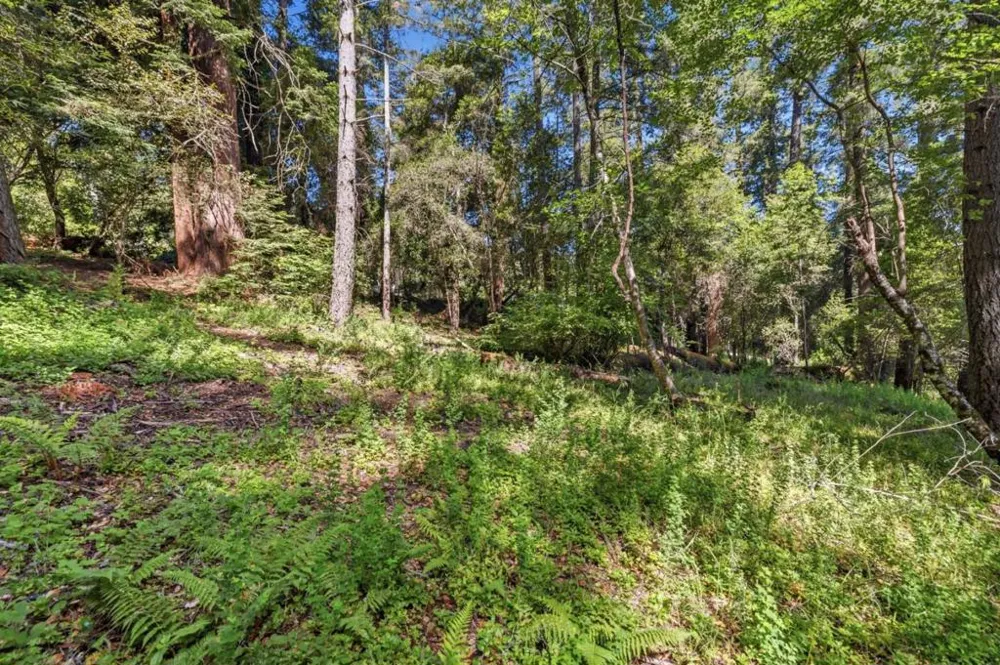Garfield Way Felton, CA 95018