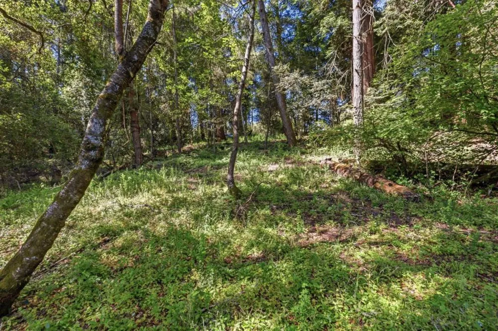 Garfield Way Felton, CA 95018